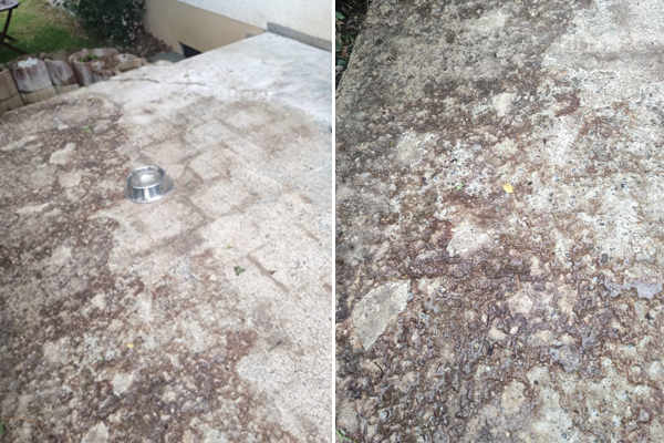 Epoxidharzbeschichtung / Terrassenbeschichtung in Günzburg / Bayern